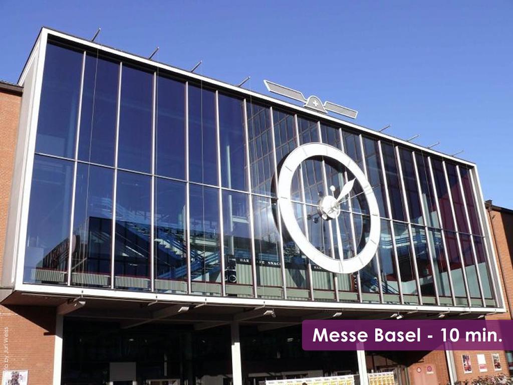 Airport - Convenient&friendly Bazel